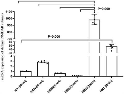 Effects of Excessive Activation of N-methyl-D-aspartic Acid Receptors in Neonatal Cardiac Mitochondrial Dysfunction Induced by Intrauterine Hypoxia